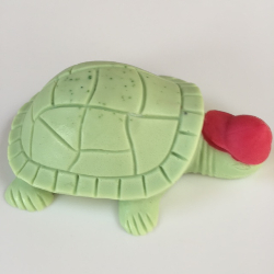 turtle with hat-538